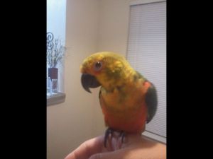 phone pics 2012-2013 138