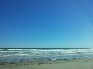 phone pics 2012-2013 314