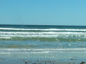 phone pics 2012-2013 316