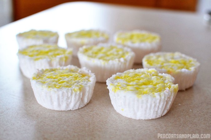 tutorial diy aromatherapy vapor shower disks for cold & flu season